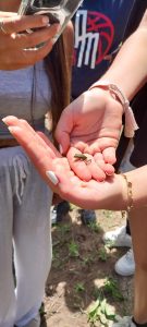 sortie 2ndes SVT espace nature départemental plan de la Garde